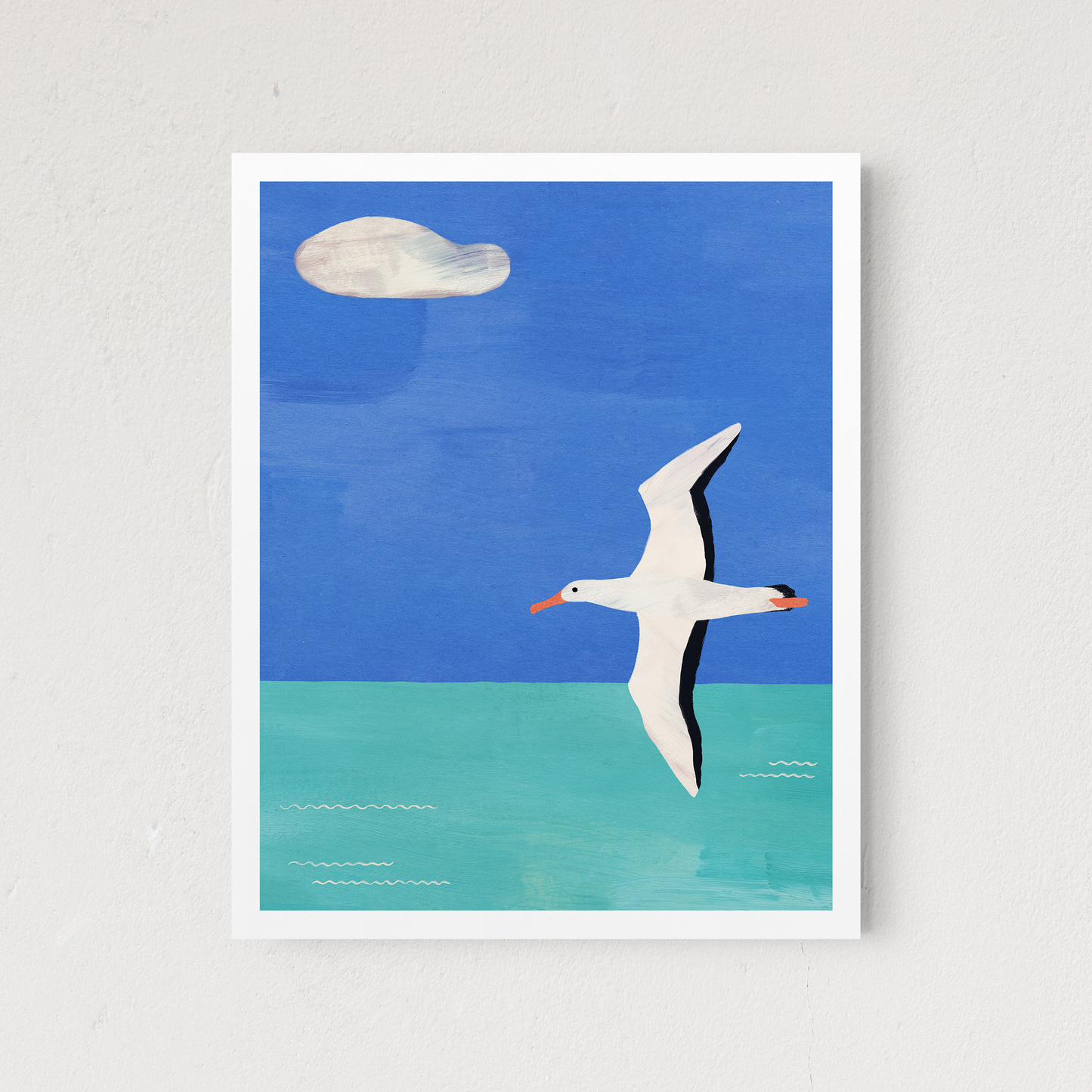 Albatross and Cloud