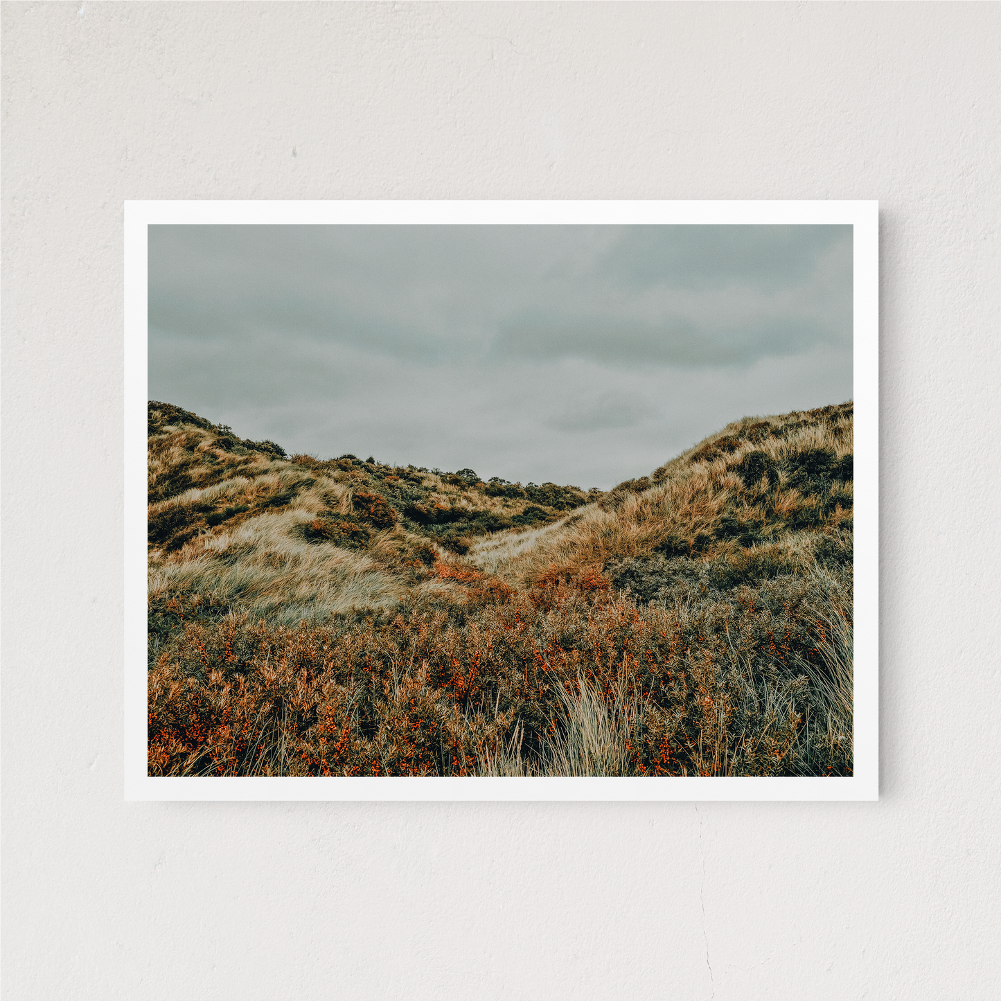 Colorful Dunes