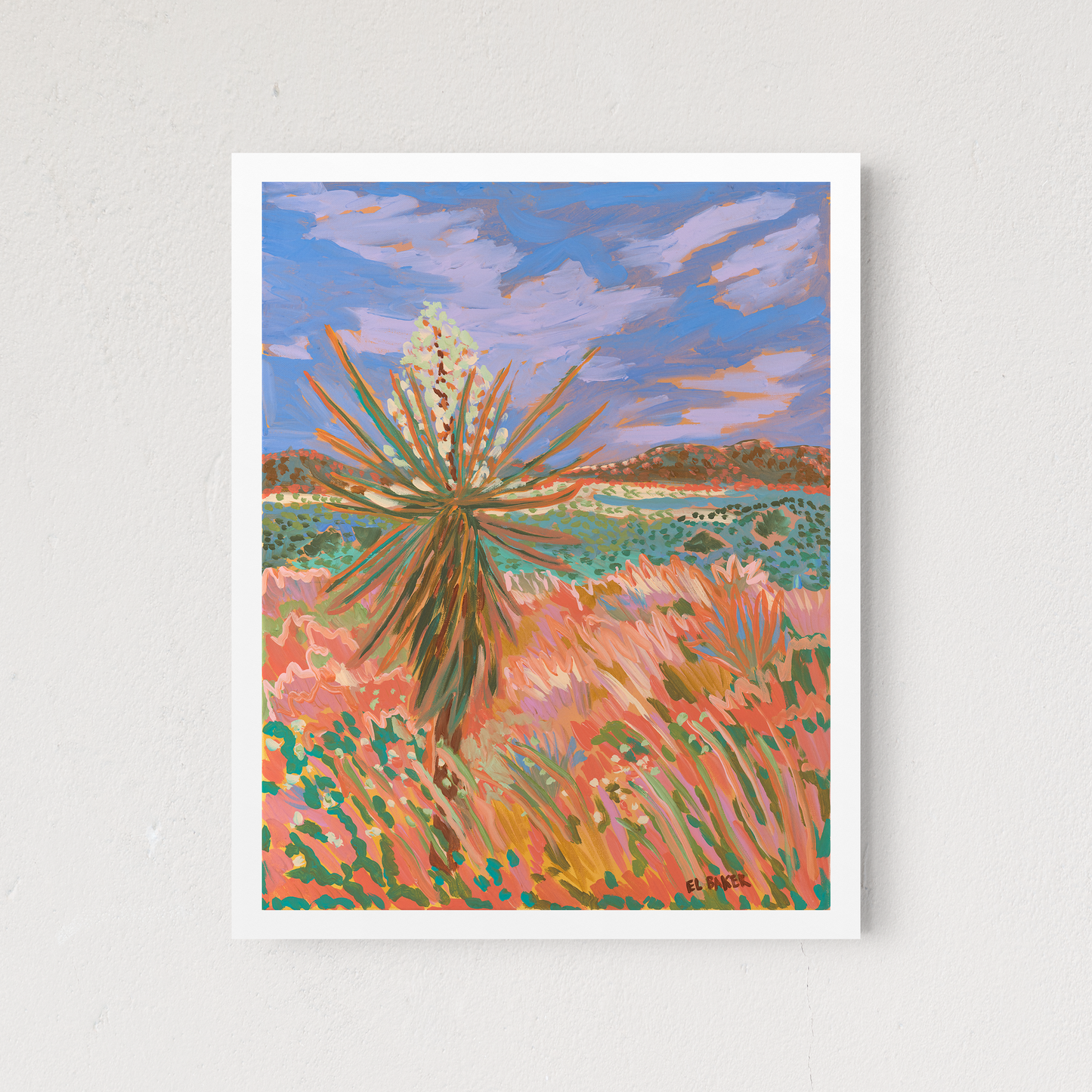 Davis Mountain National Park Yucca