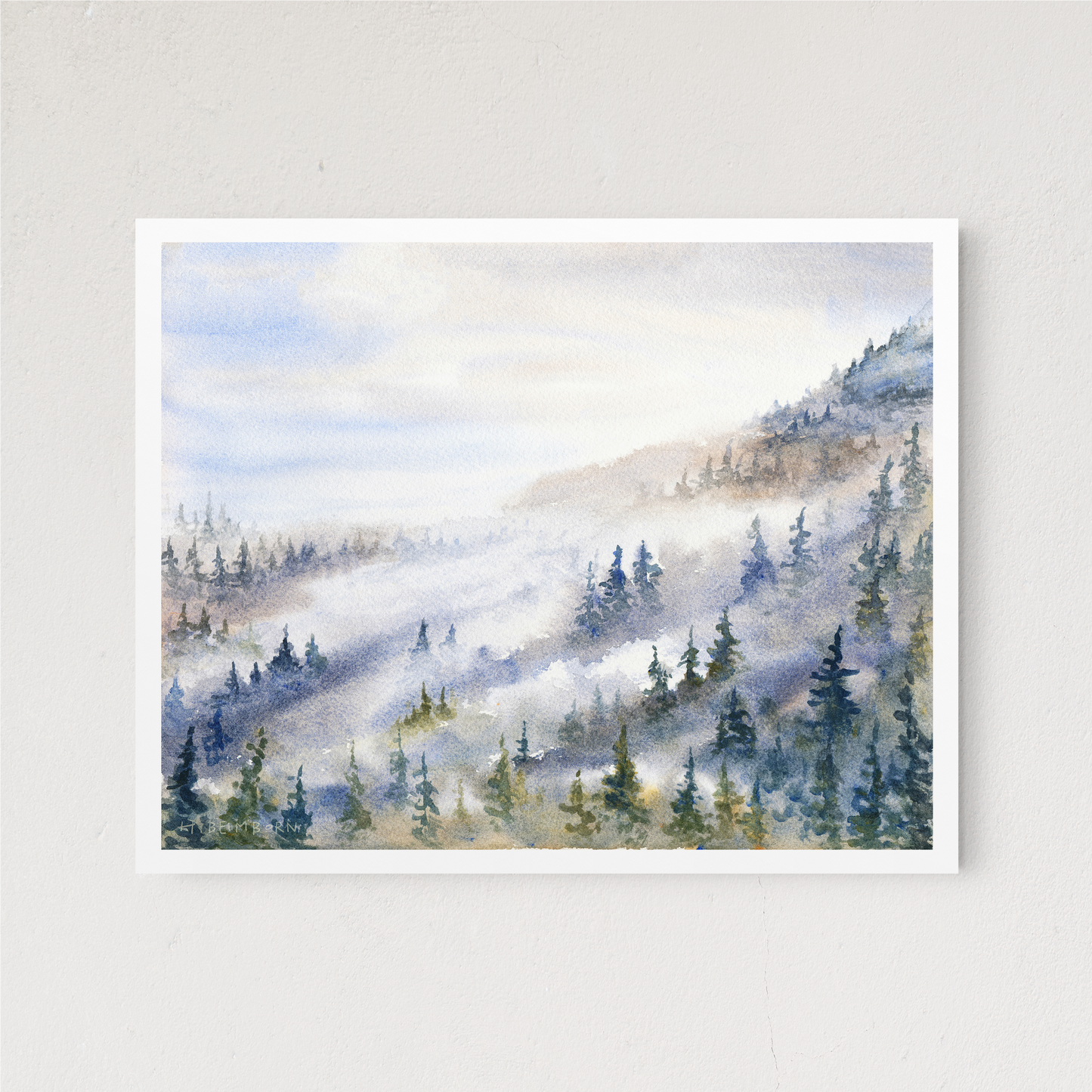 Foggy Forest