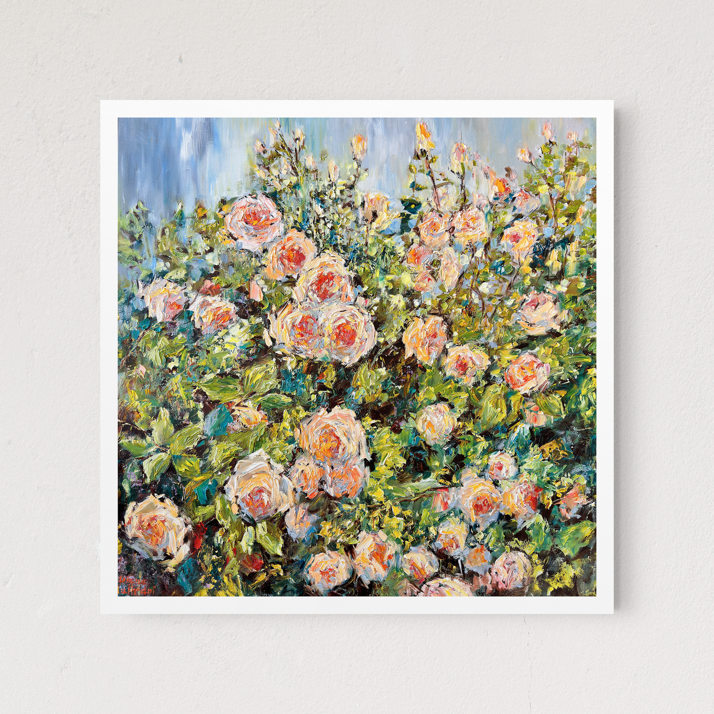 Garden Roses 1