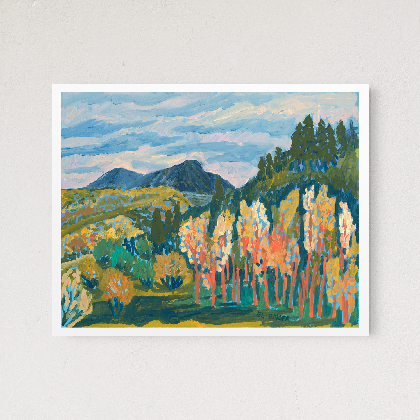 New Mexico Forest