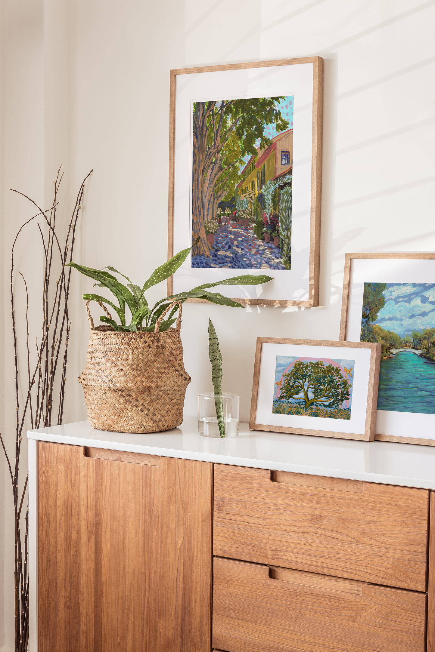 Texas Hill Country Live Oak