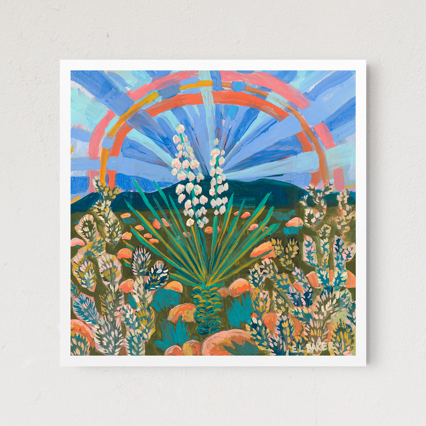 Rainbow Yucca Plant Texas