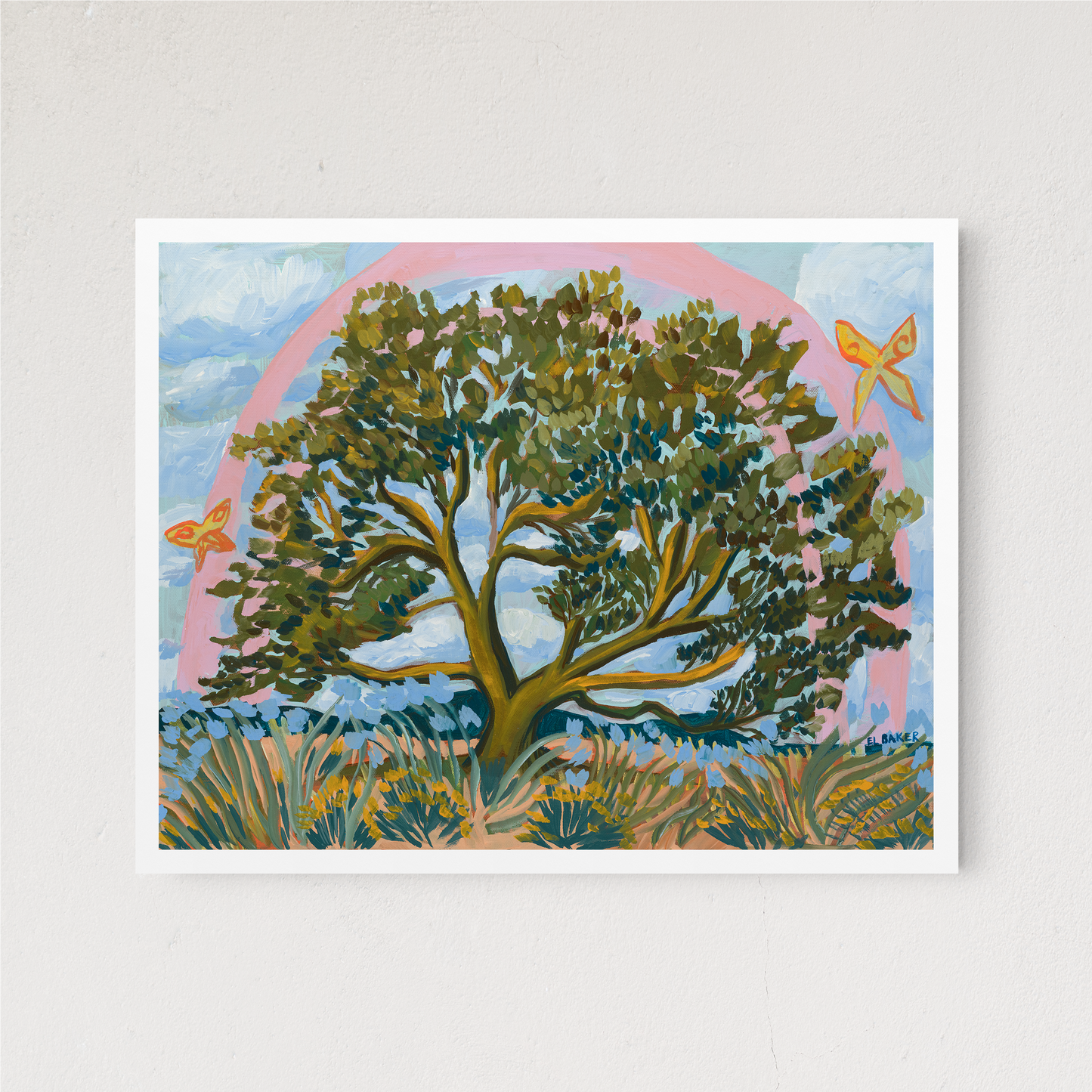 Texas Hill Country Live Oak