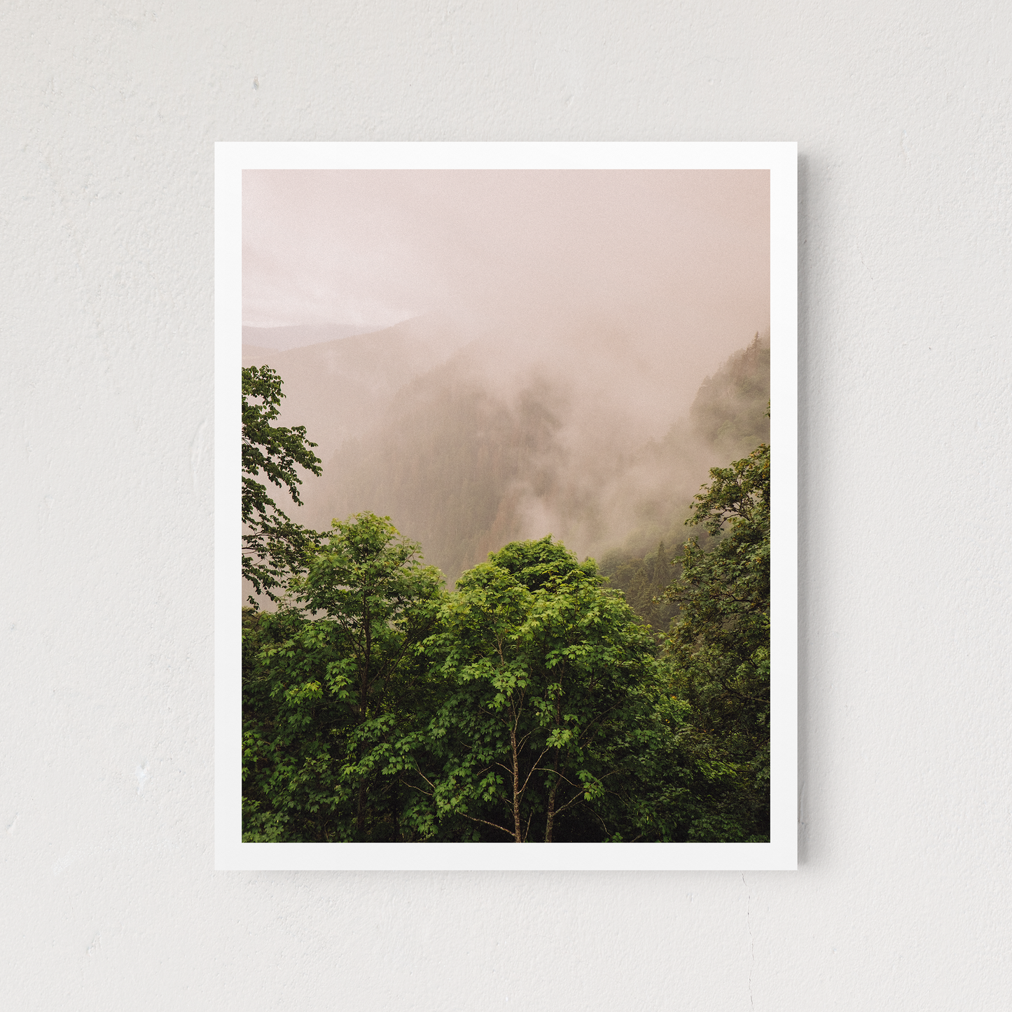 Tropical Greens