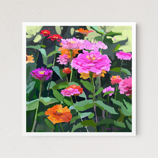Wild Zinnias