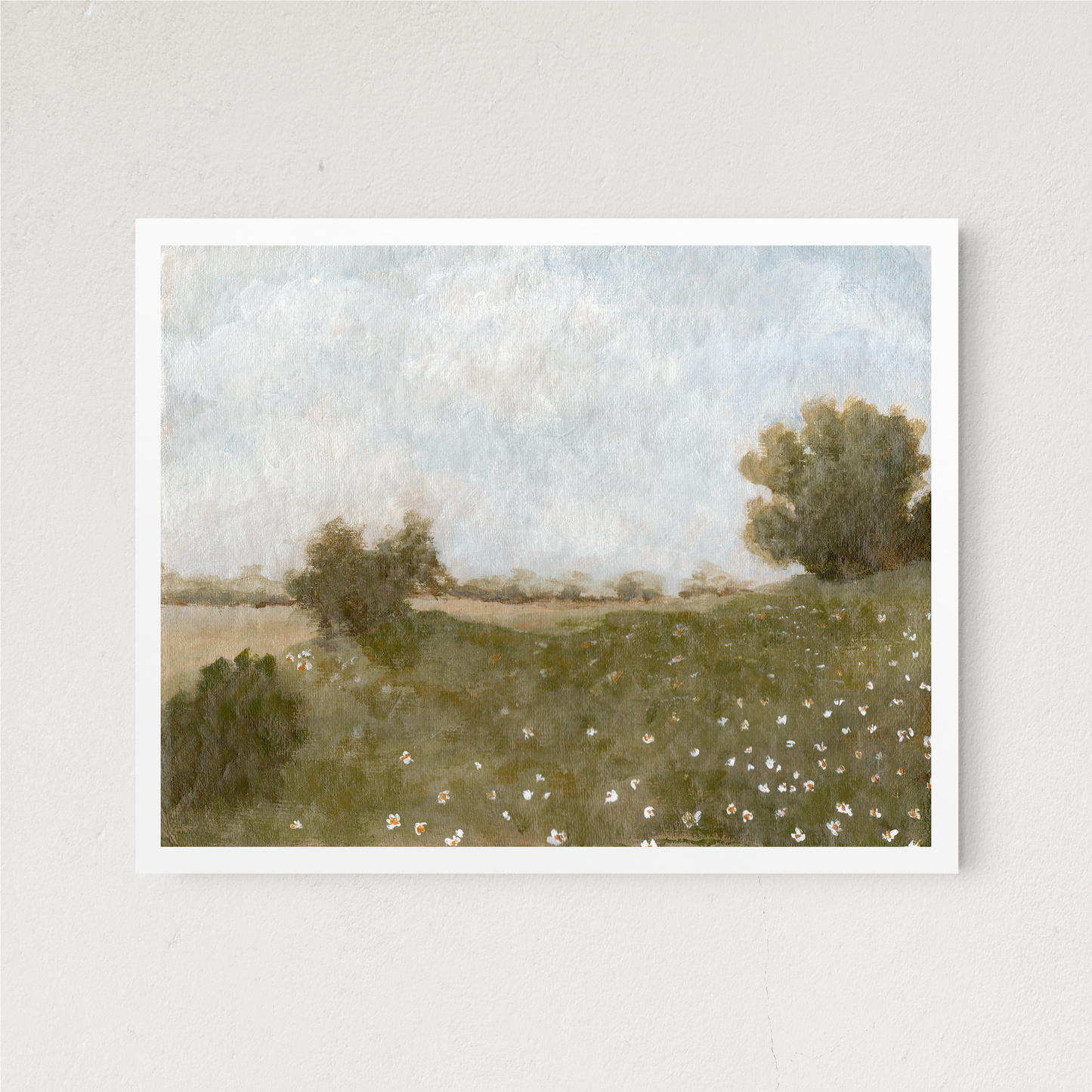 Daisy Fields