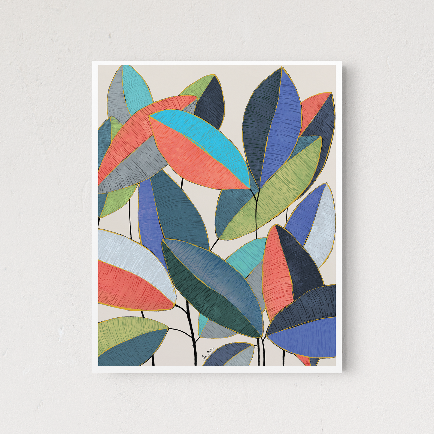 Ficus Leaves