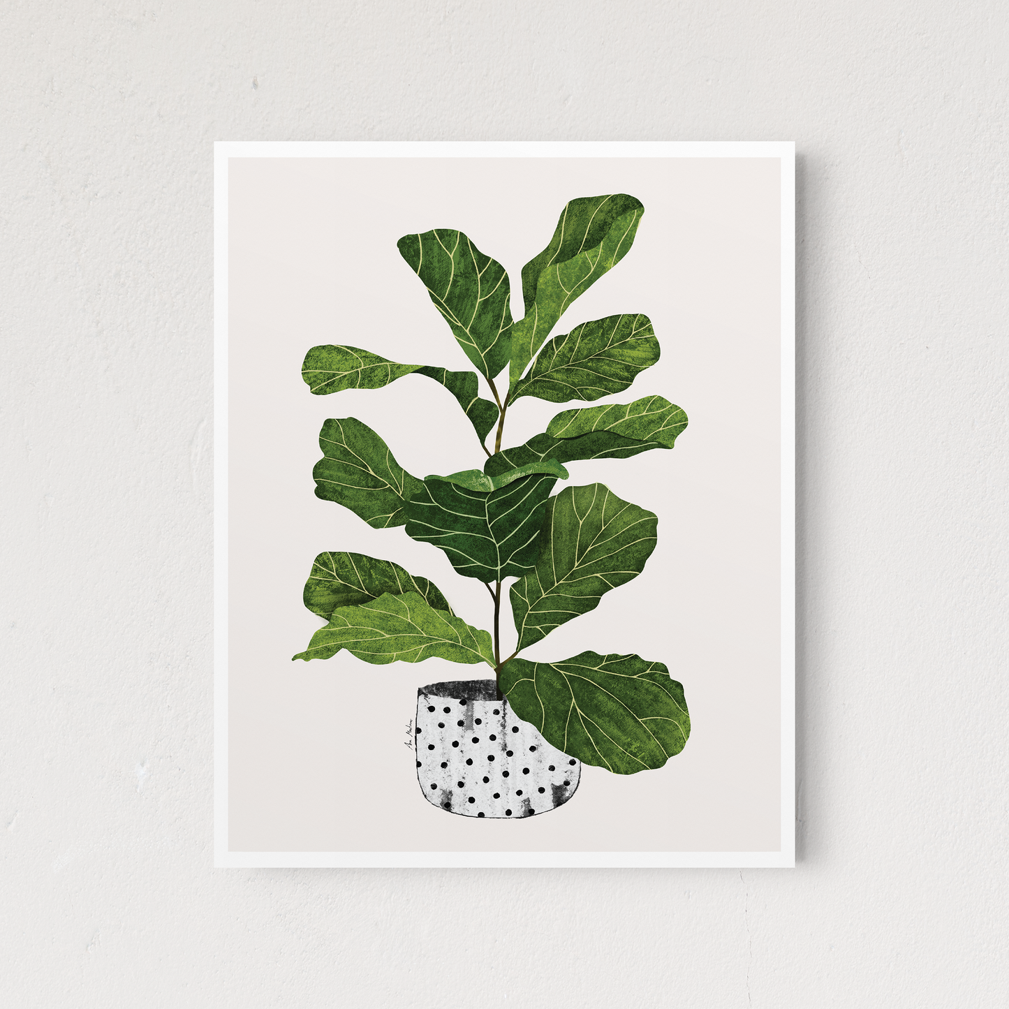 Fiddle Leaf Fig Tree