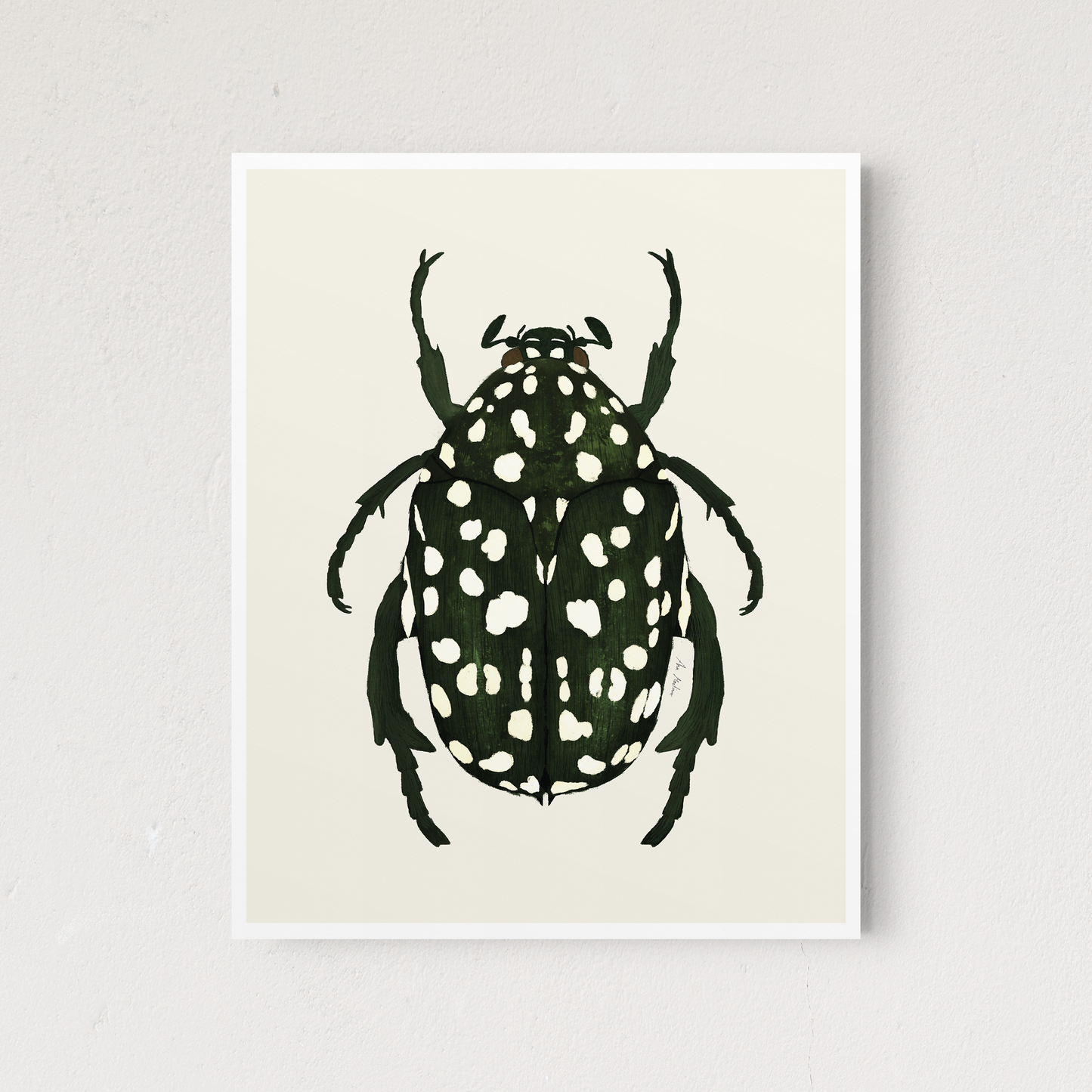 Beetle Green