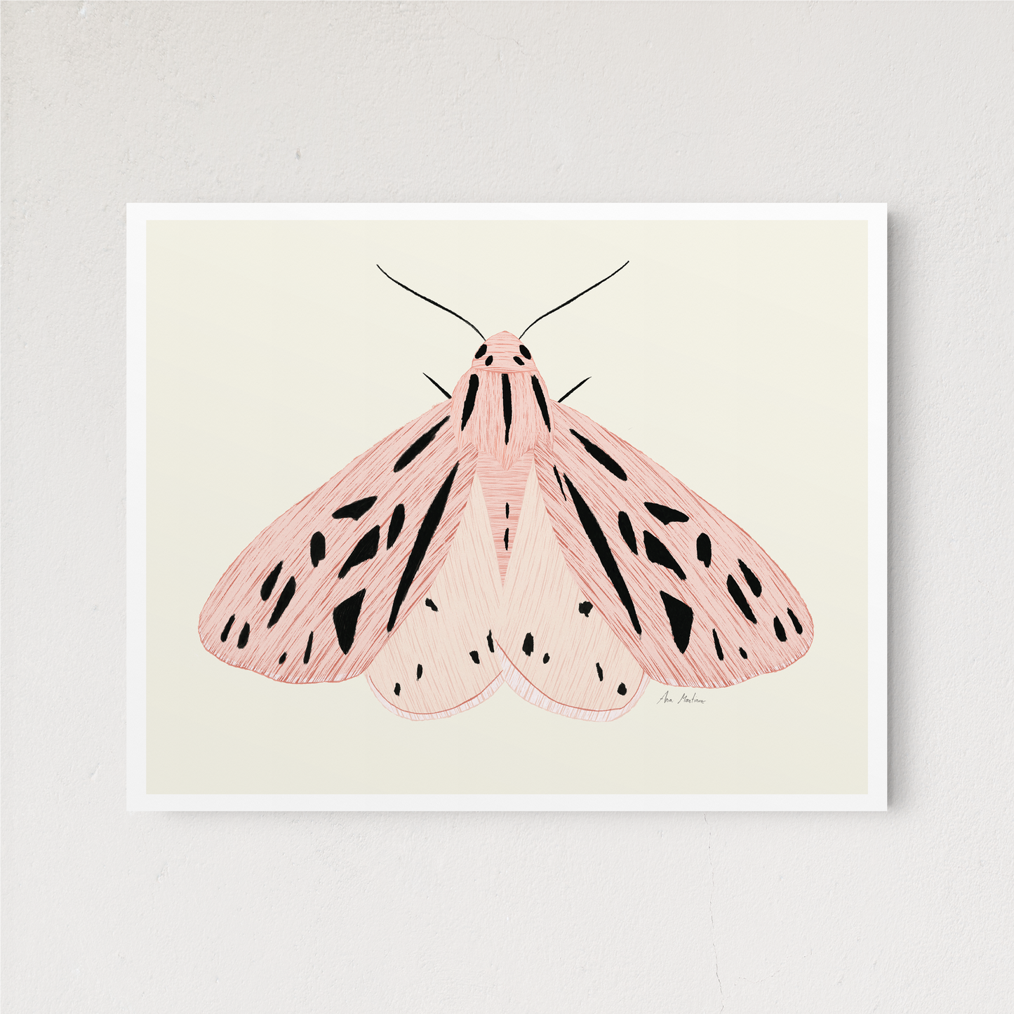 Pink Moth