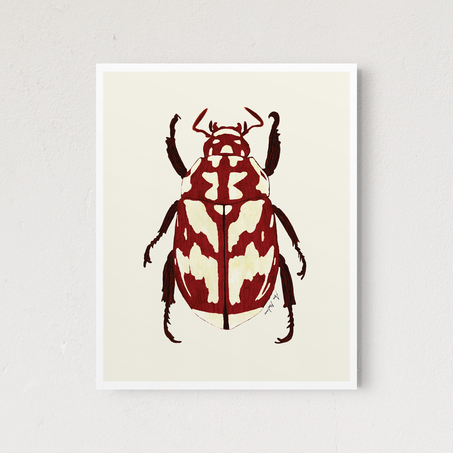 Beetle Red