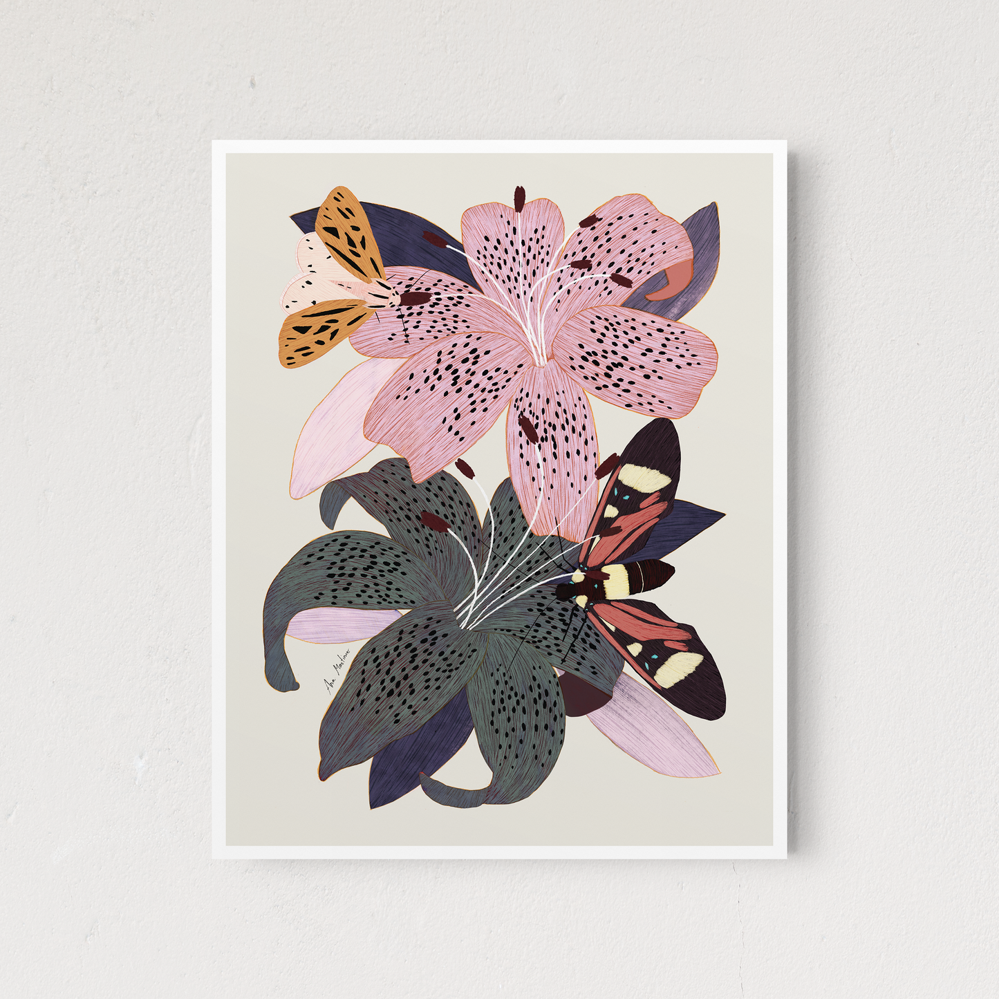 Lily Flowers