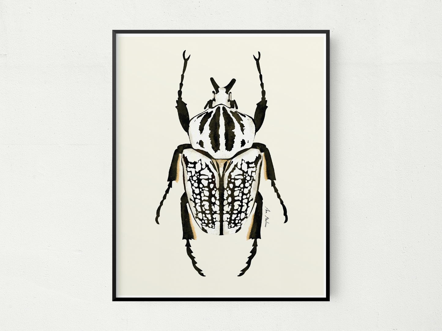 Beetle Black and White