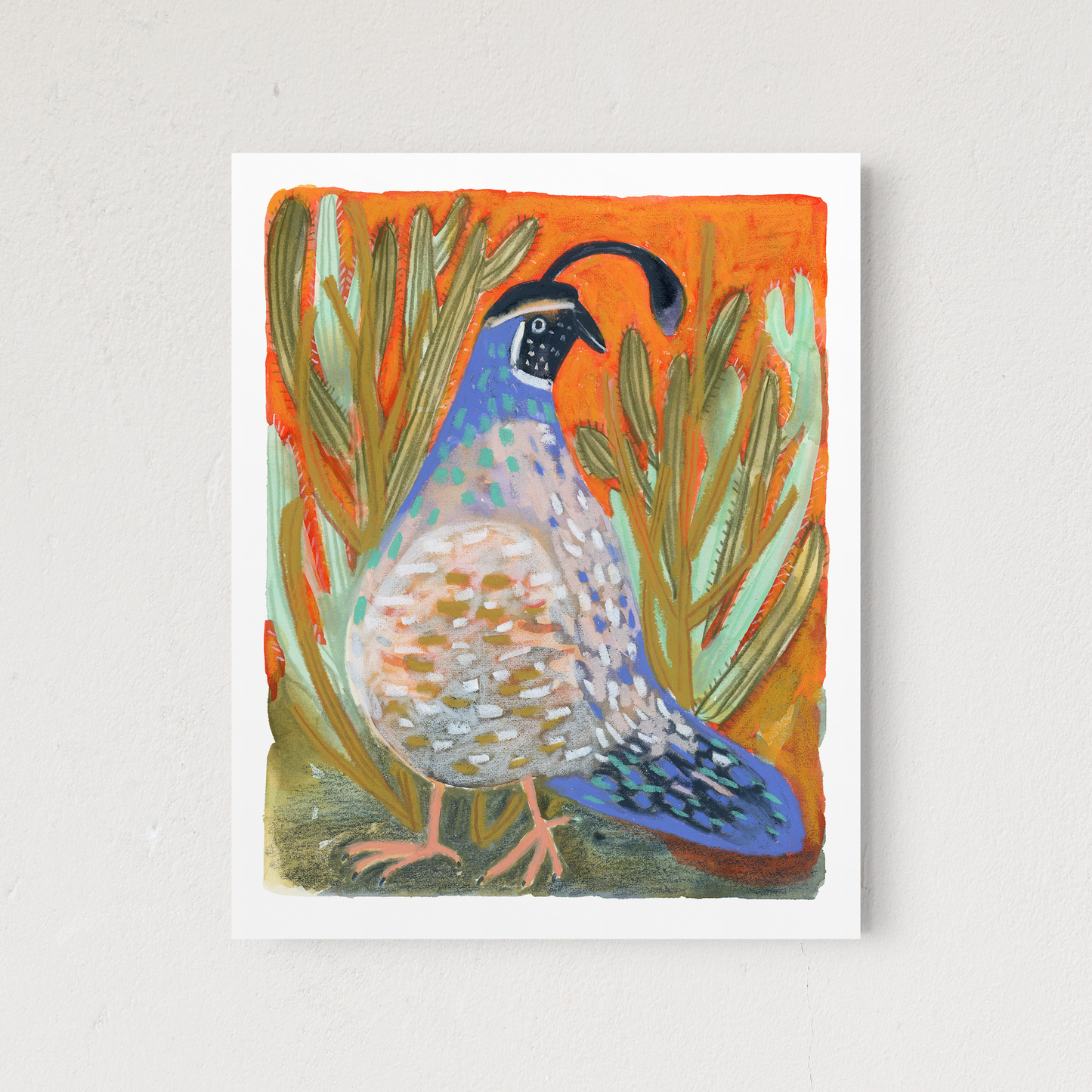 Colorful Quail