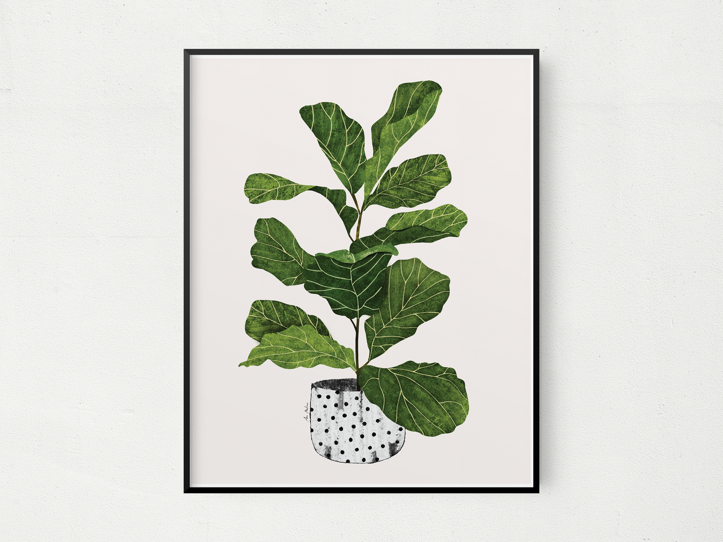 Fiddle Leaf Fig Tree