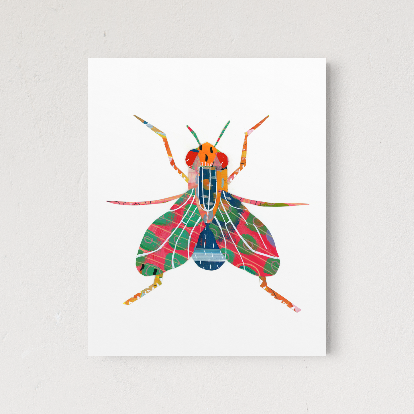 The Fly