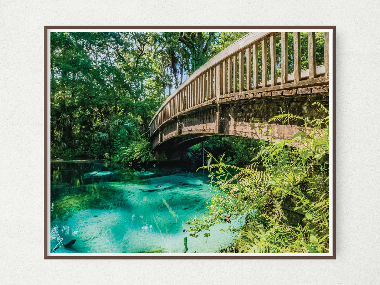 Juniper Springs