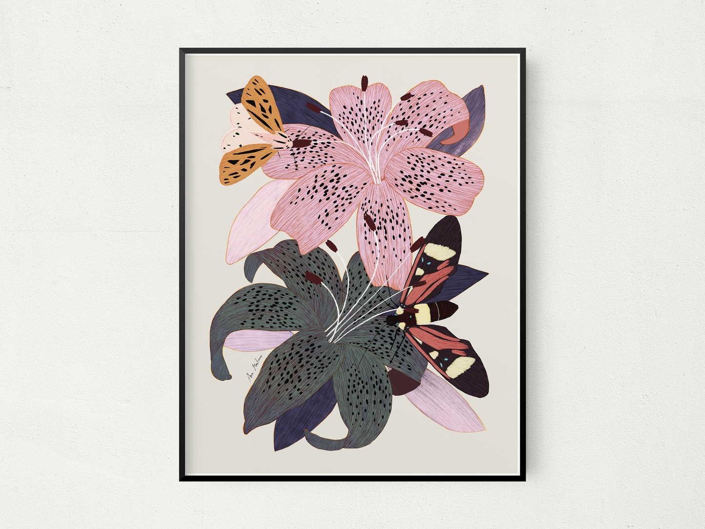 Lily Flowers