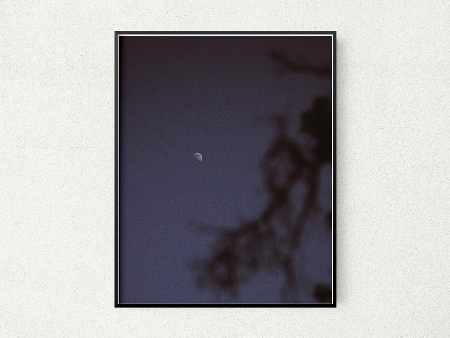 Moonlight