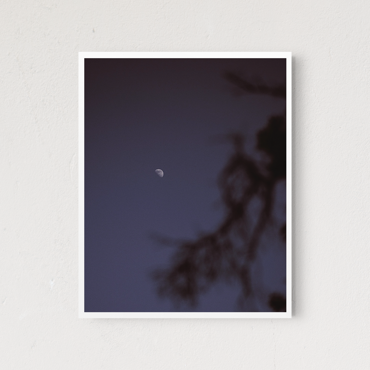 Moonlight