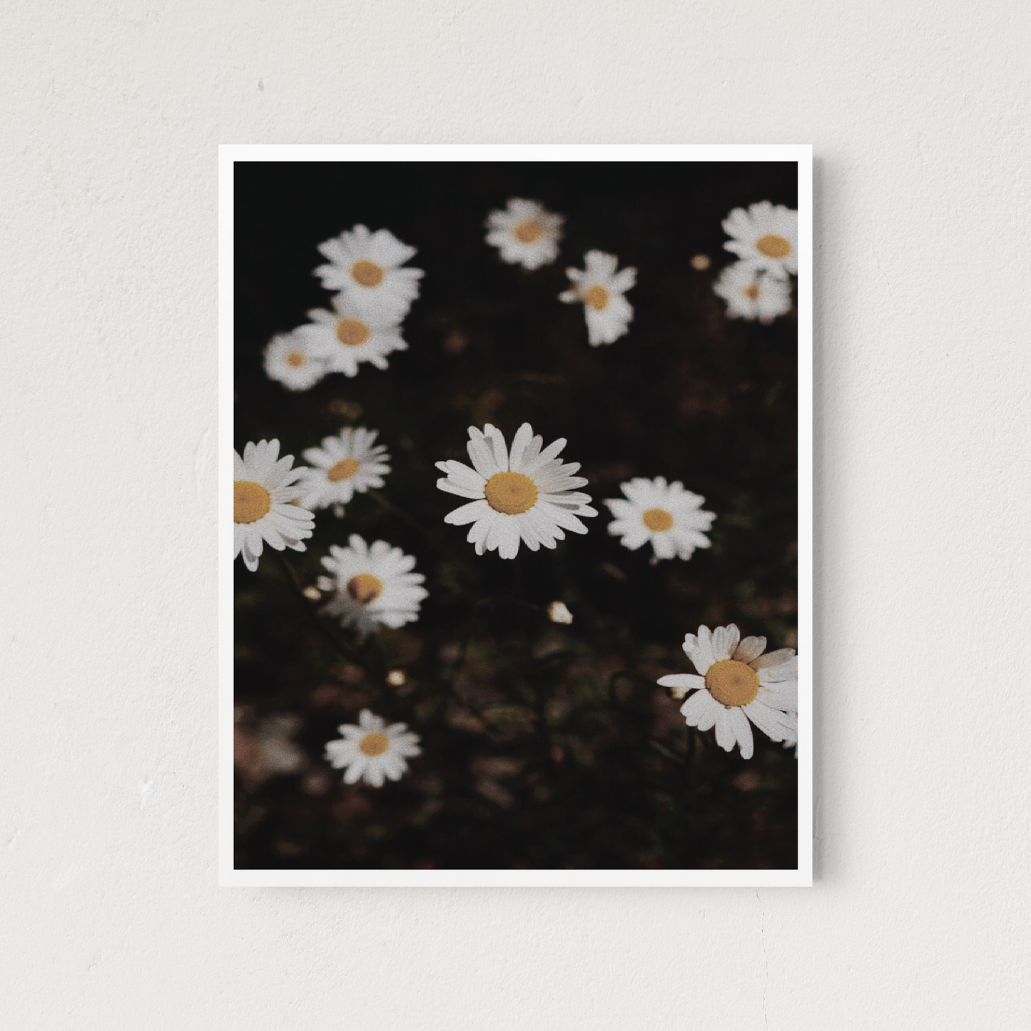 Wild Floral