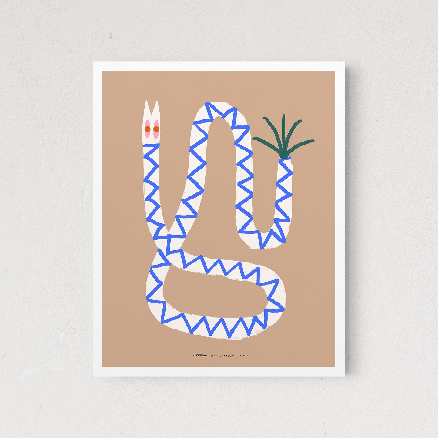 Palm Viper