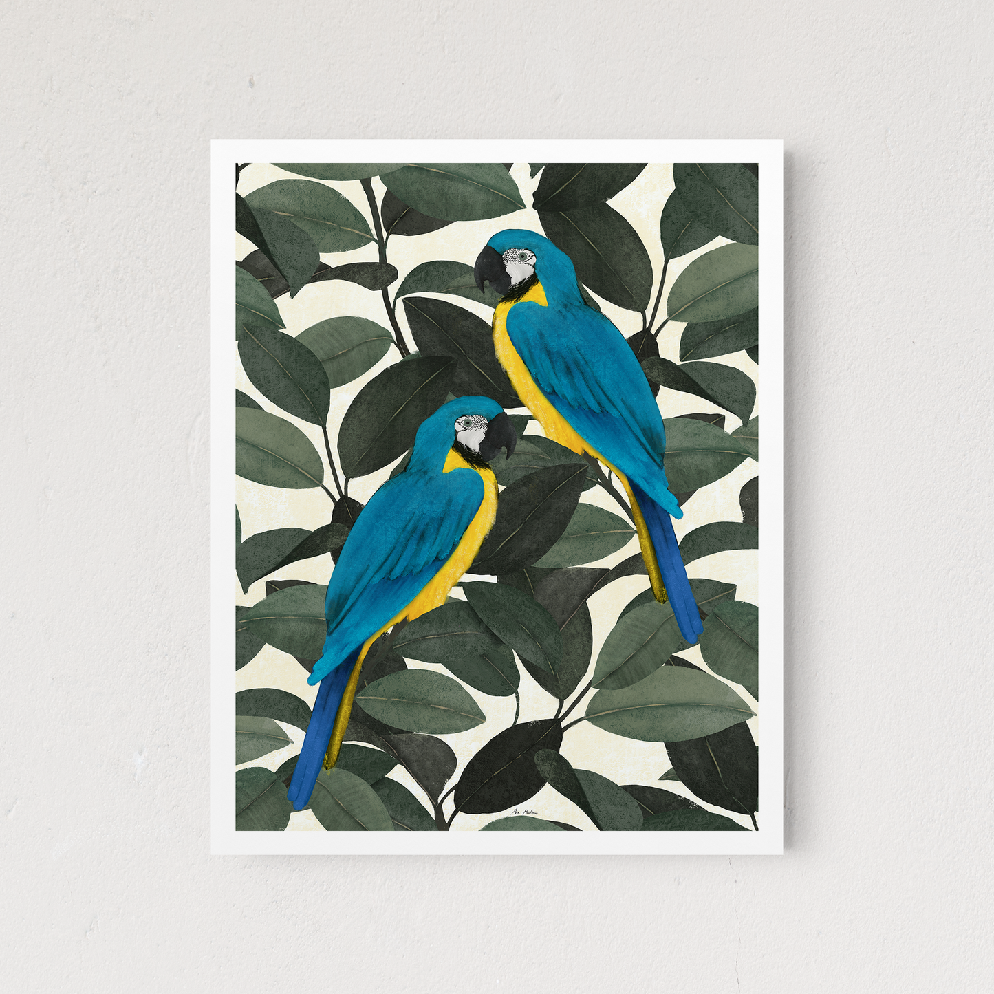 Parrots