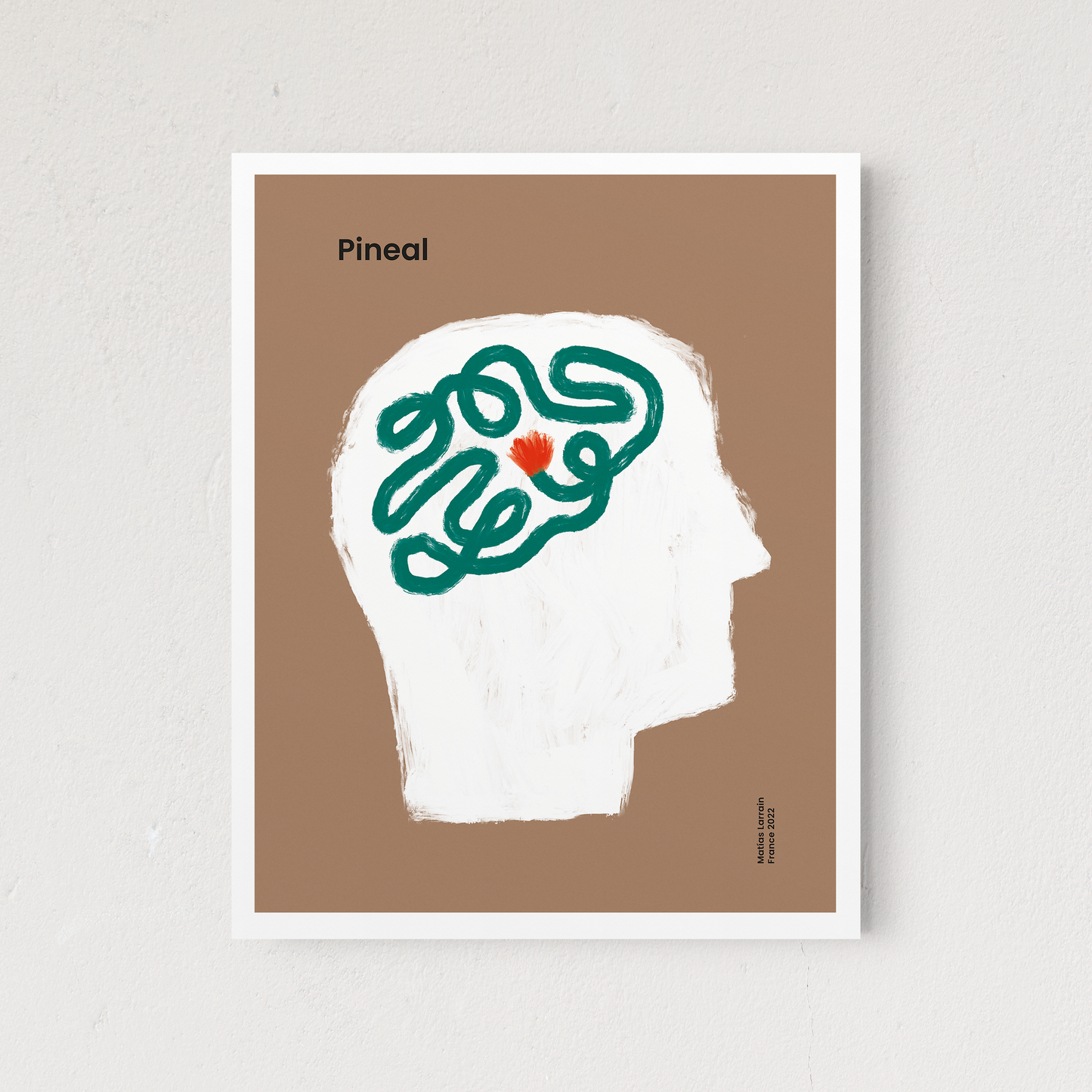 Pineal