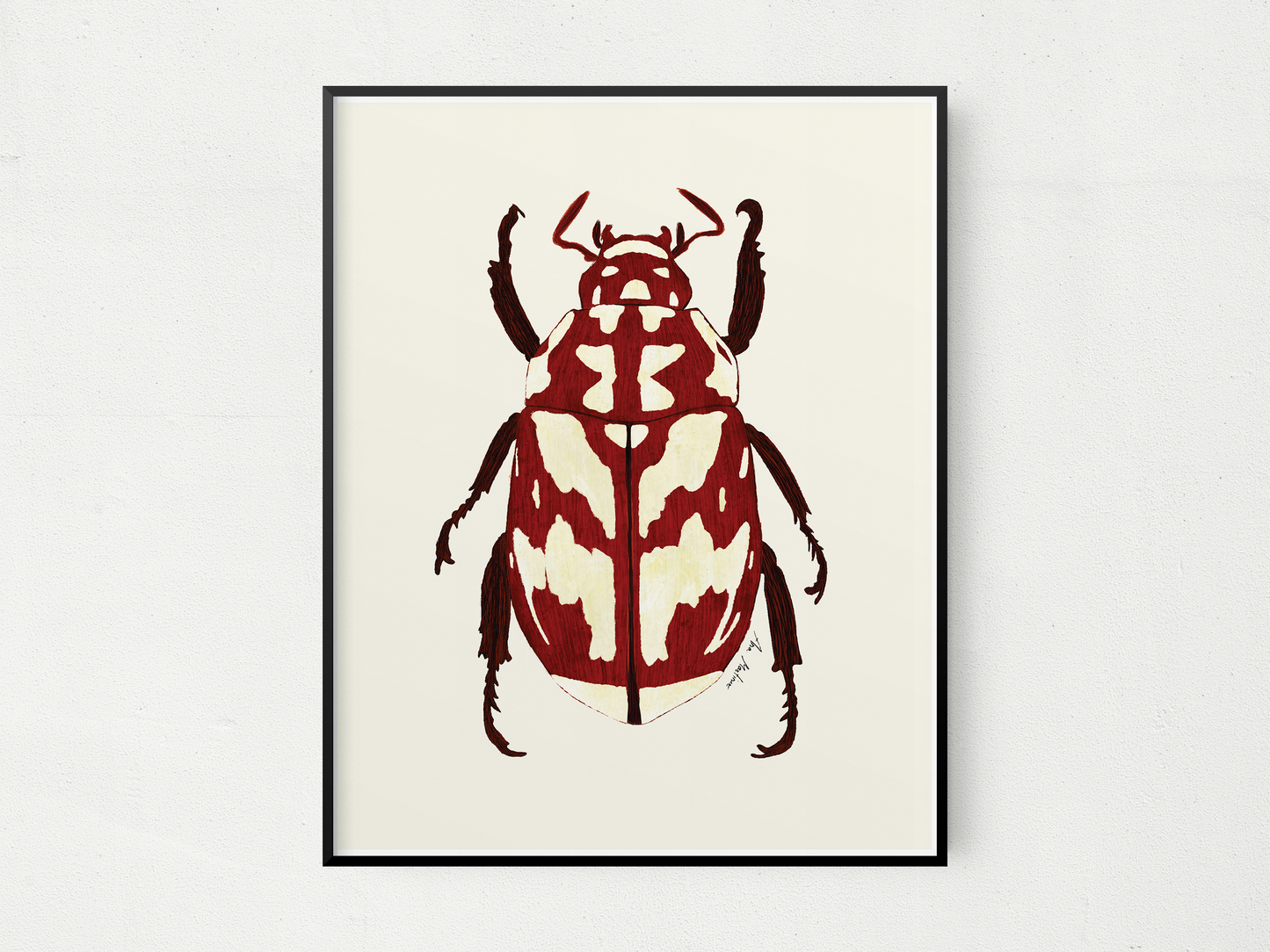 Beetle Red