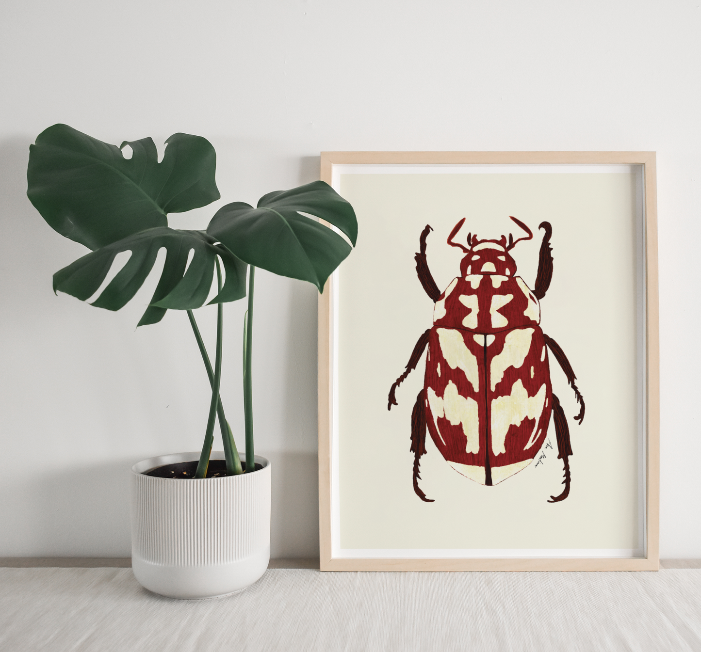 Beetle Red