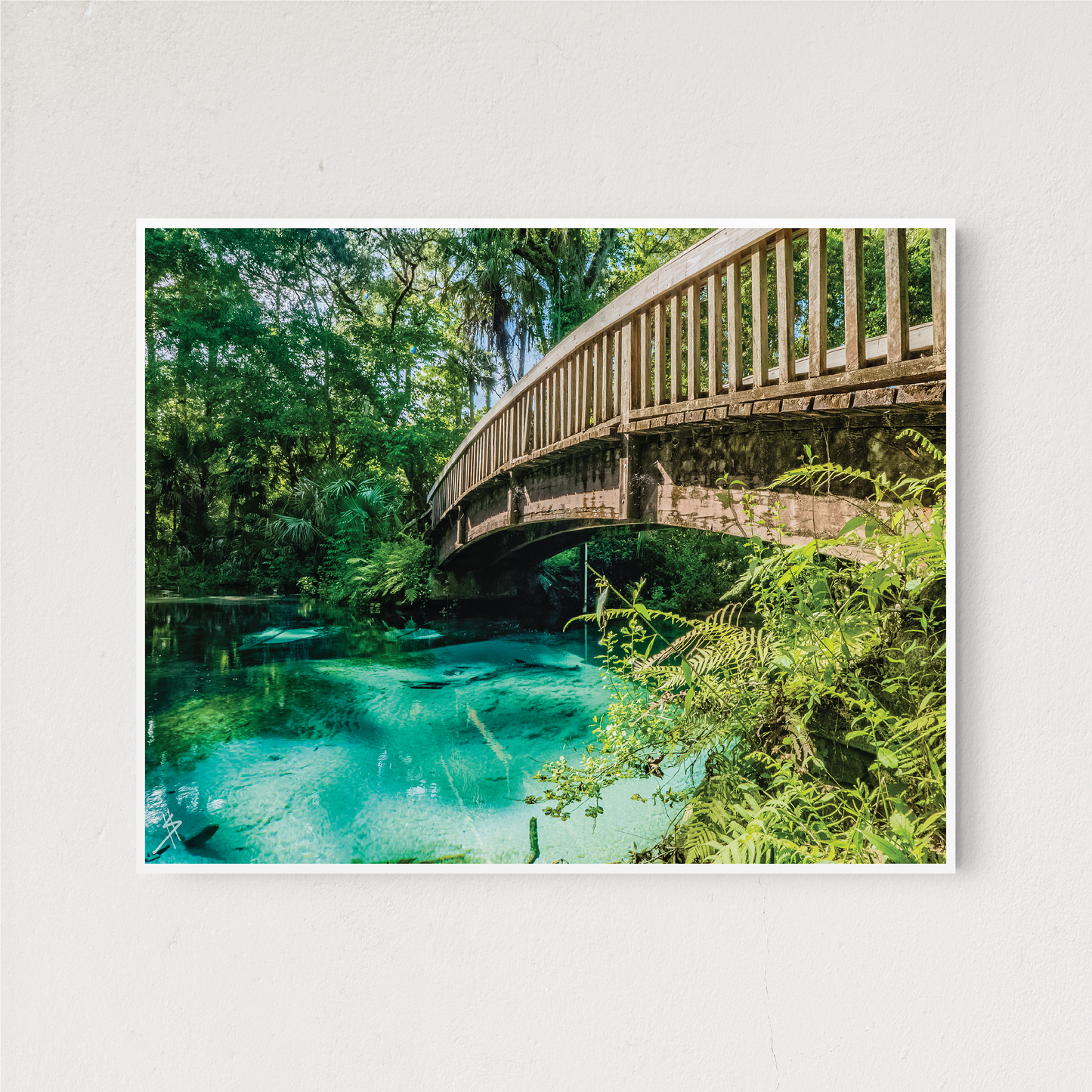 Juniper Springs