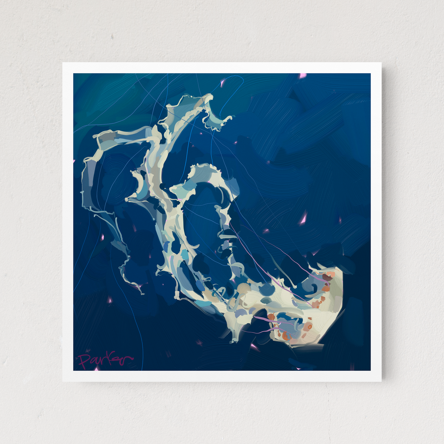 Single Jellyfish