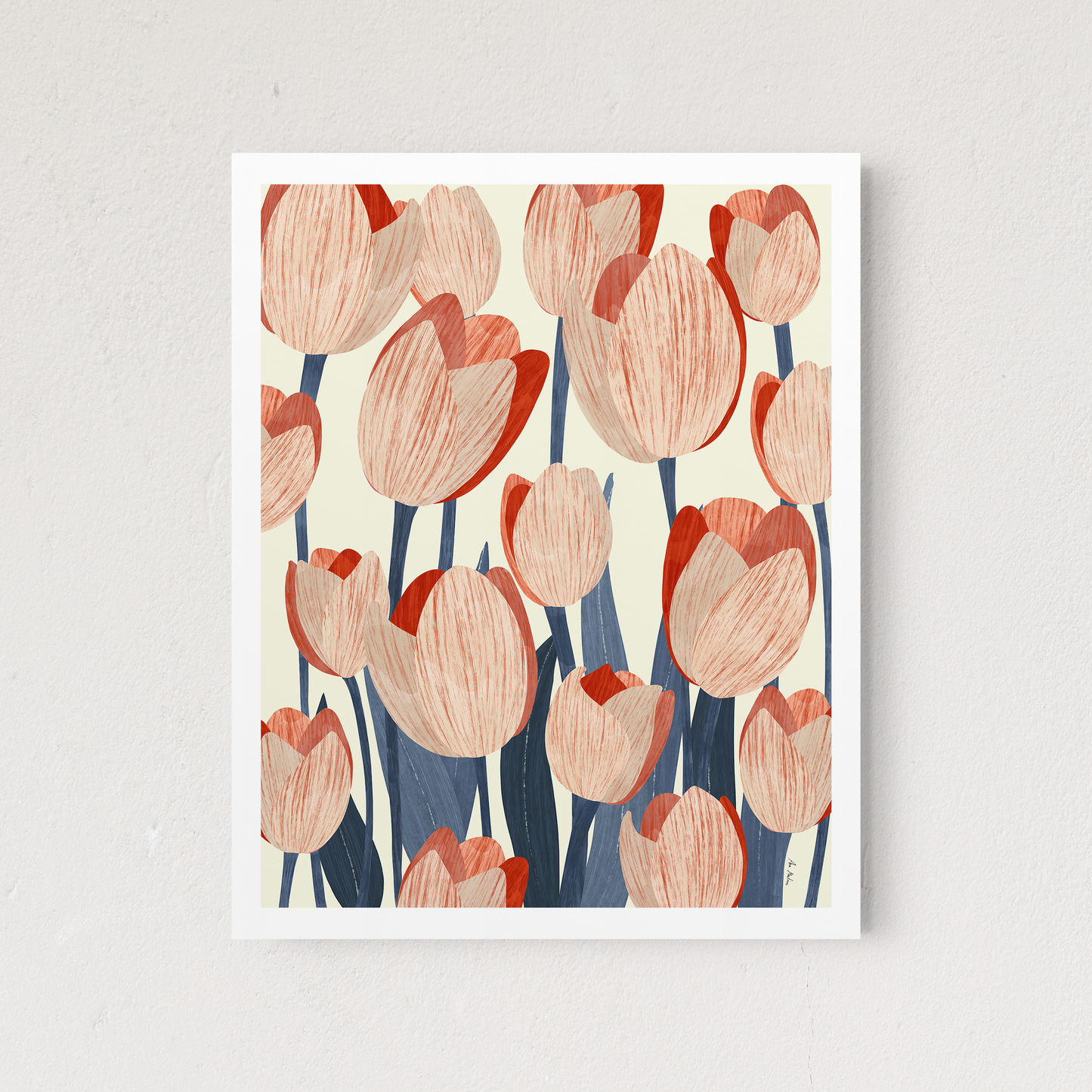 Tulipanes