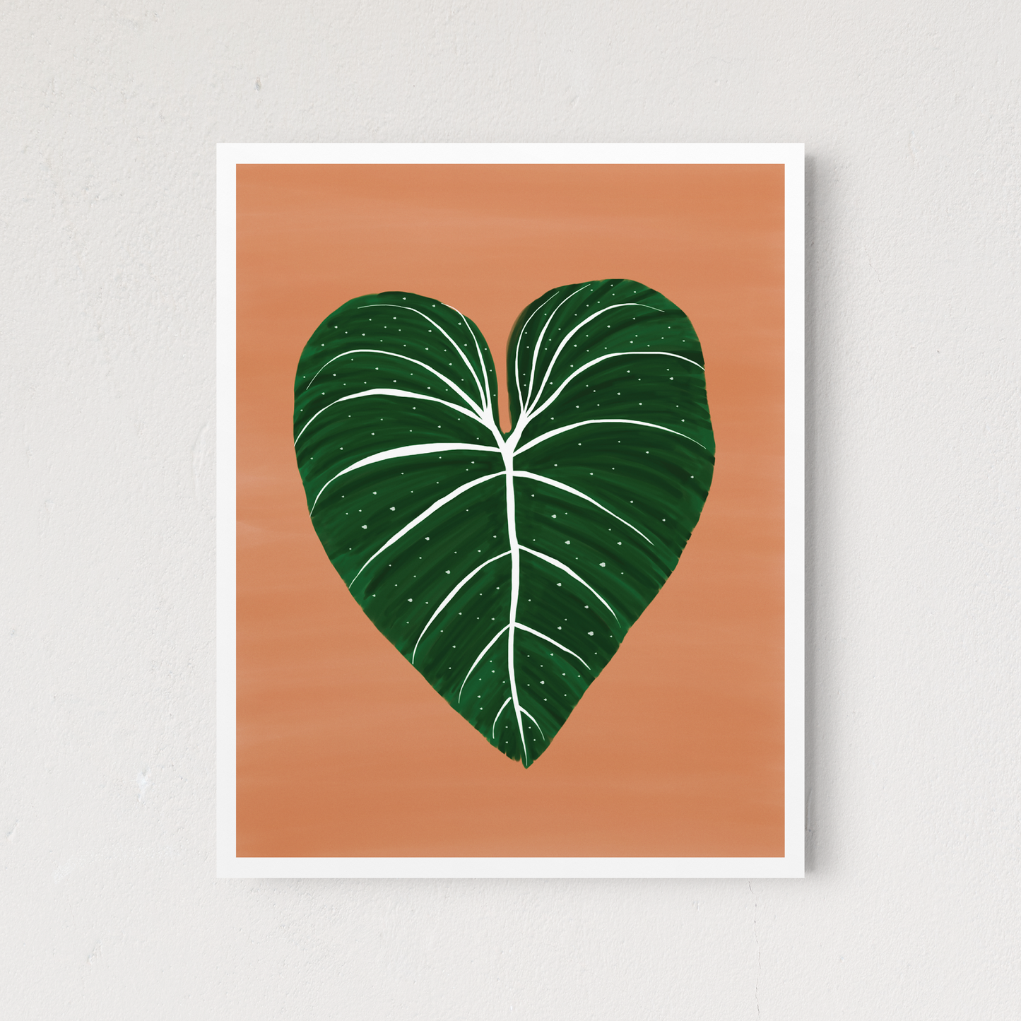 Philodendron