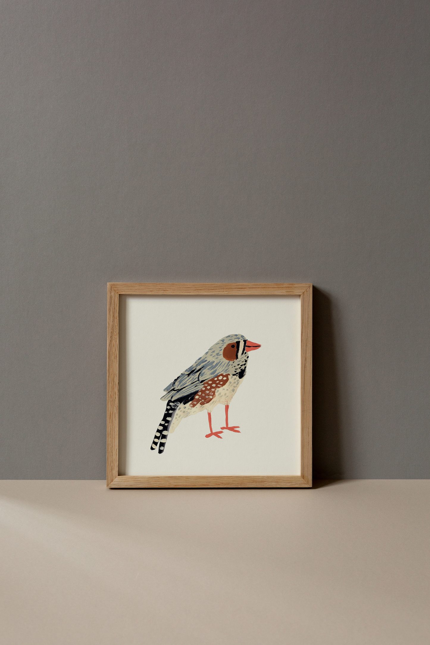 Zebra Finch