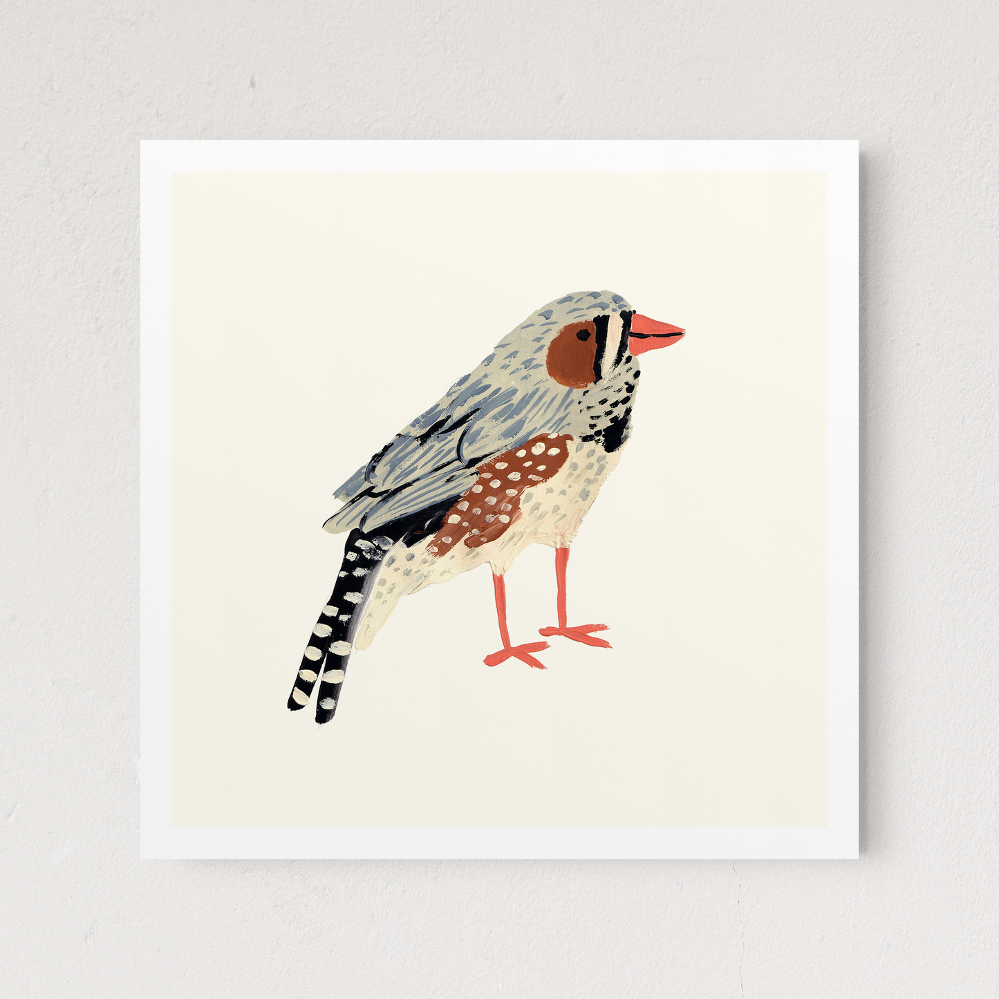 Zebra Finch
