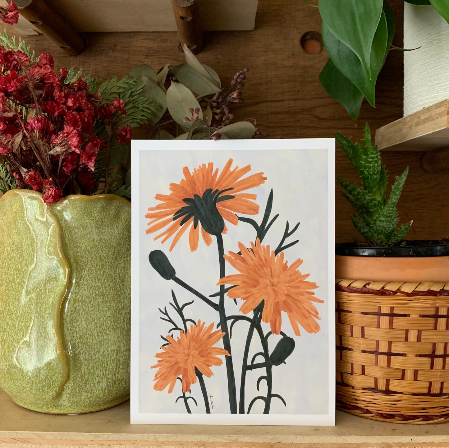 Wildflowers