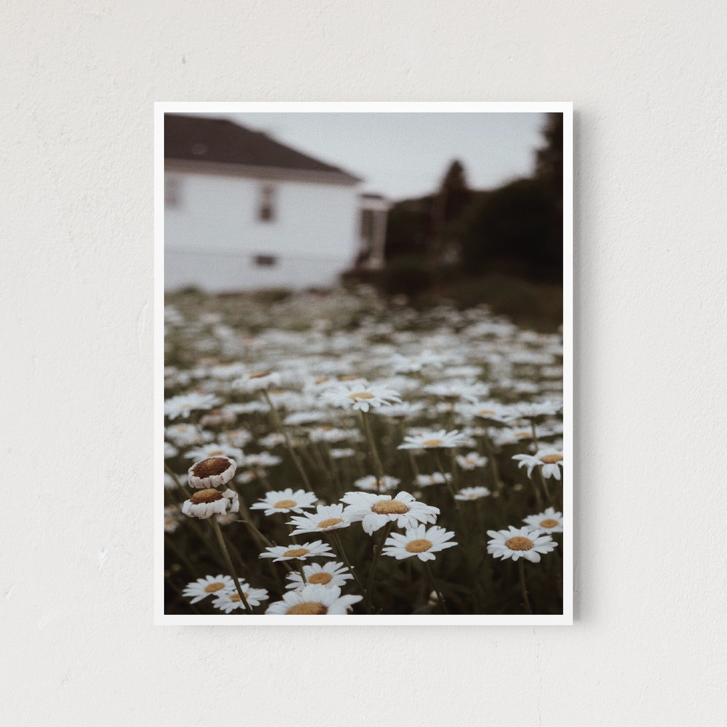 Prairie