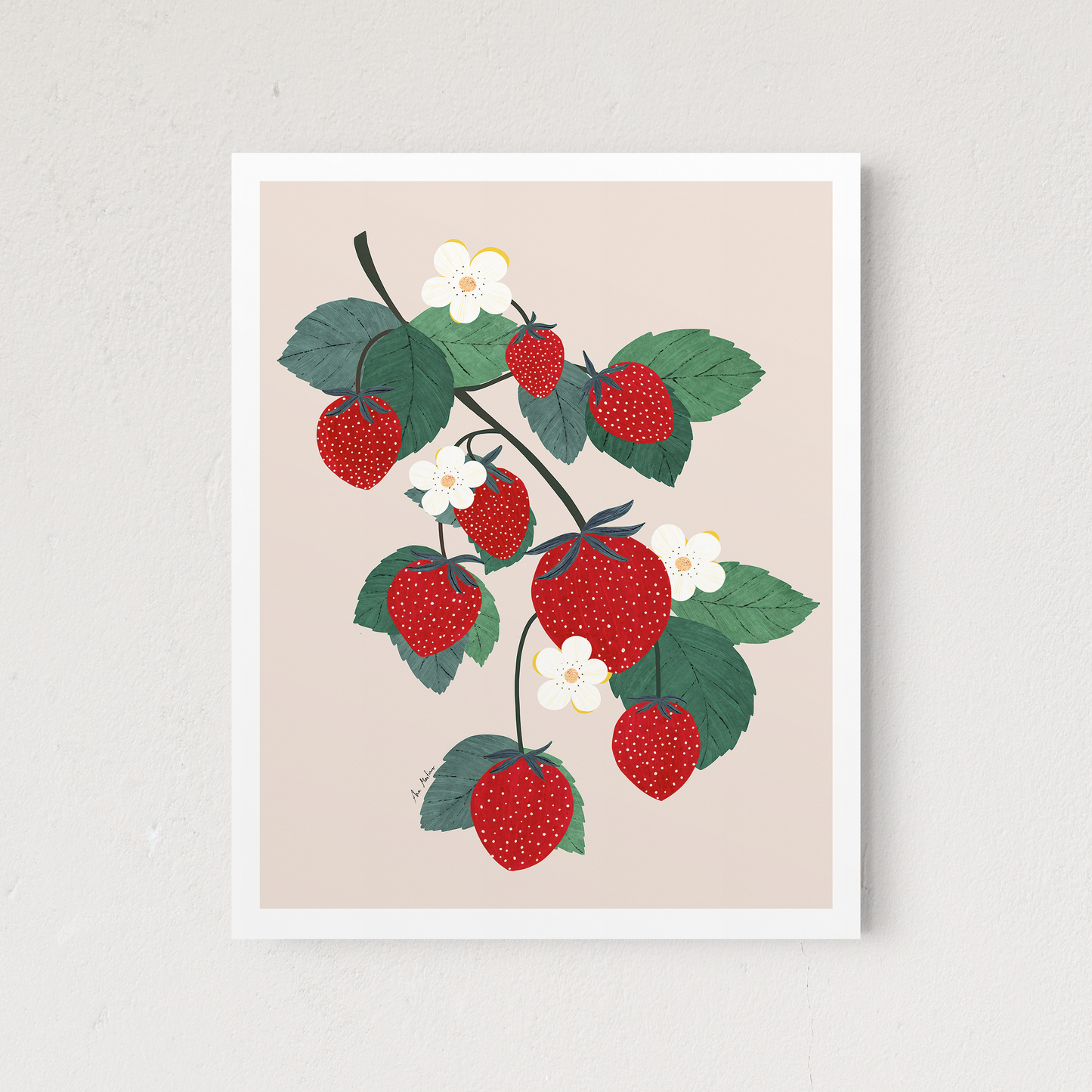 Strawberry Branch