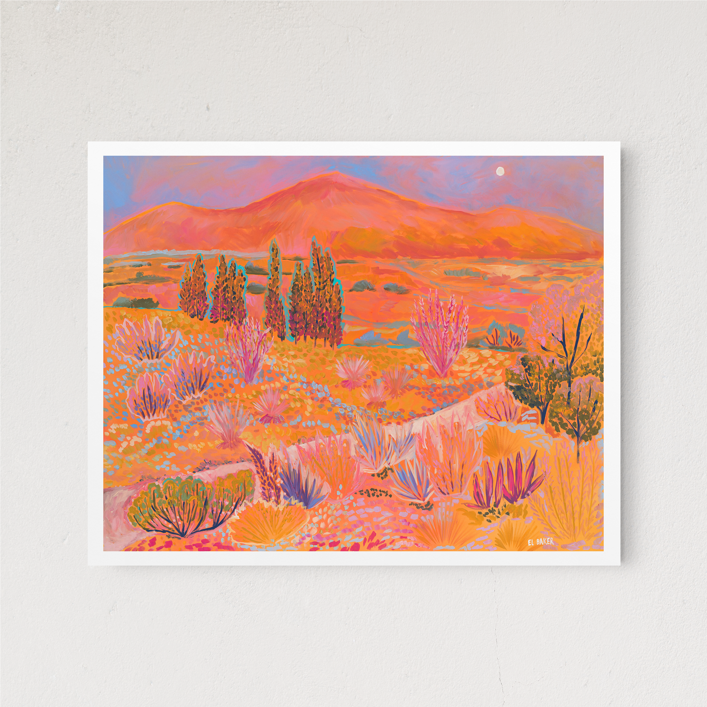 Colorful Western Mountain Desert