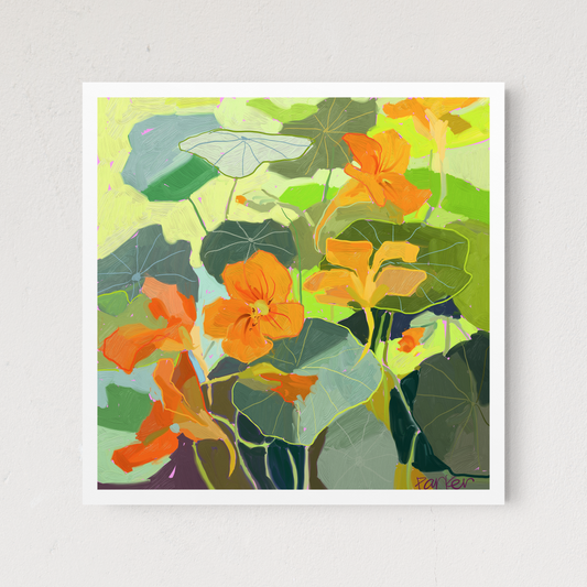 Nasturtium Sketch