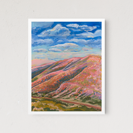 Pink Mountain Desert