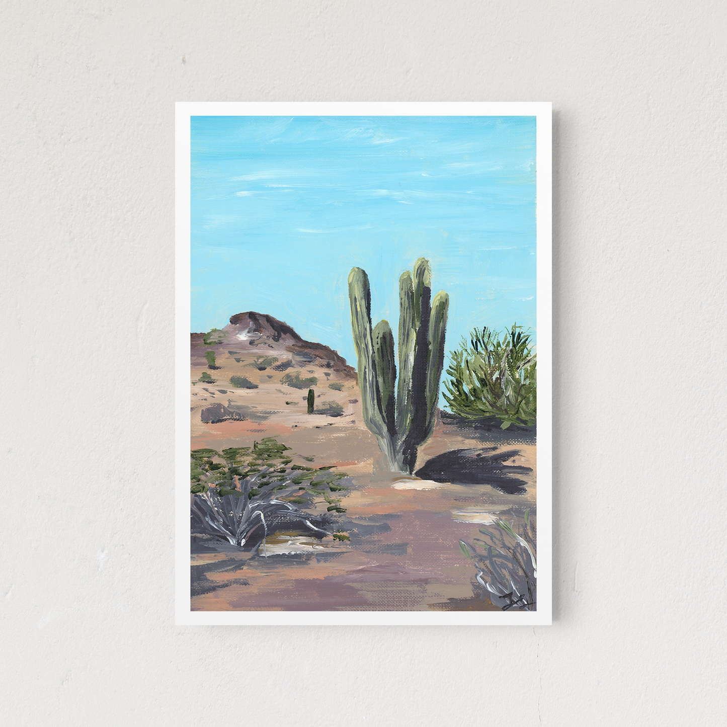 Sonoran Desert